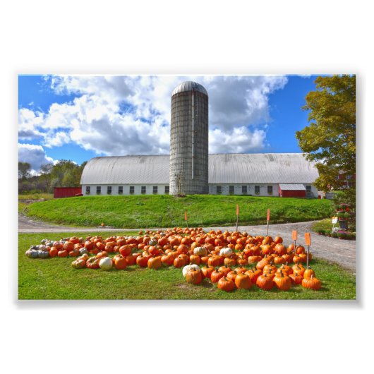 Pumpkins for Sale in Pennsylvania Boerderij Barn Foto Afdruk (Voorkant)