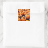 Pumpkins Galore Vierkante Sticker (Tas)
