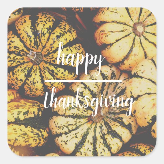 Pumpkins Happy Thanksgiving Vierkante Sticker (Voorkant)