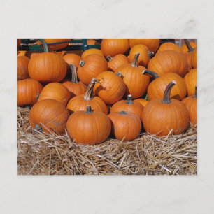 Pumpkins Herfst Briefkaart