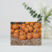 Pumpkins Herfst Briefkaart (Staand voorkant)