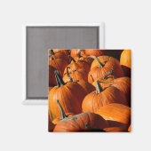 Pumpkins Magnet (Voorkant / Achterkant)