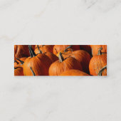 Pumpkins Mini Bladwijzer Visitekaartje (Achterkant)