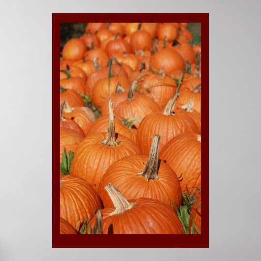 PUMPKINS! POSTER (Voorkant)