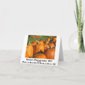 Pumpkins Roca Berry Boerderij card 4 Kaart (Achterkant)