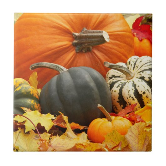 Pumpkins Tile Trivet Tegeltje (Voorkant)