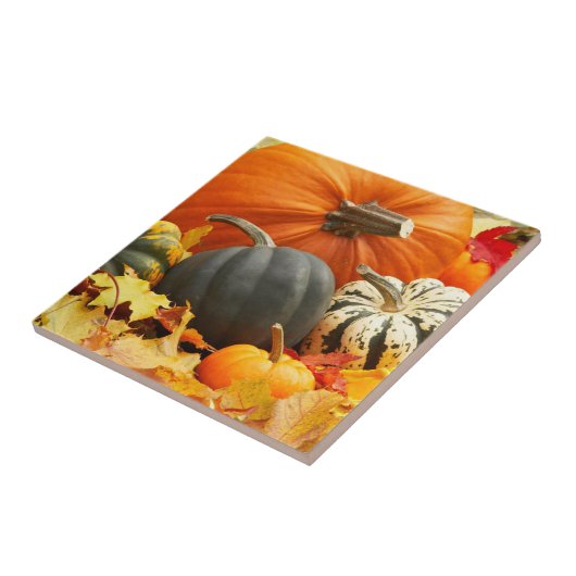 Pumpkins Tile Trivet Tegeltje (Zijkant)