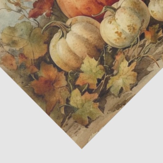 Pumpkins Tissuepapier (Detail)
