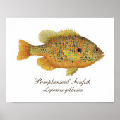 Pumpkinseed Art Poster (Voorkant)