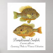 Pumpkinseed Sunfish Art Poster (Voorkant)