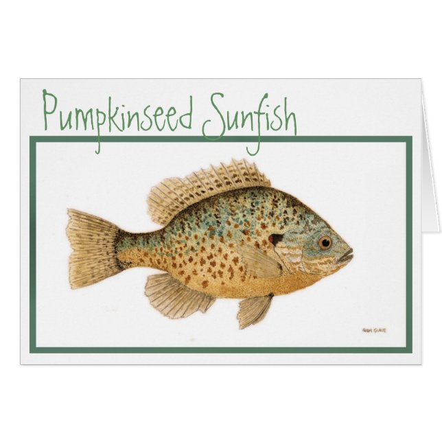 Pumpkinseed Sunfish Card (Voorkant Horizontaal)