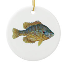 Pumpkinseed Sunfish