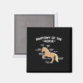 Pun-anatomie van paardenpaarden magneet (Voorkant / Achterkant)