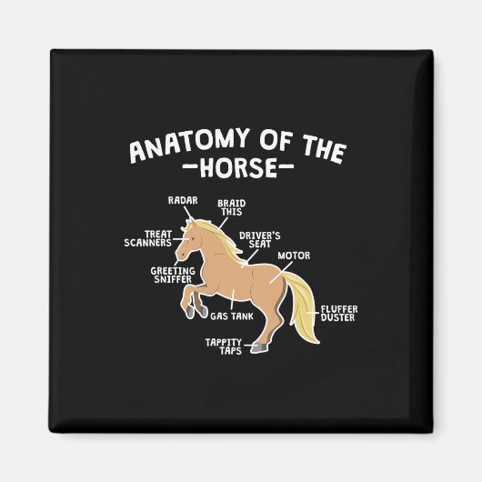 Pun-anatomie van paardenpaarden magneet (Voorkant)