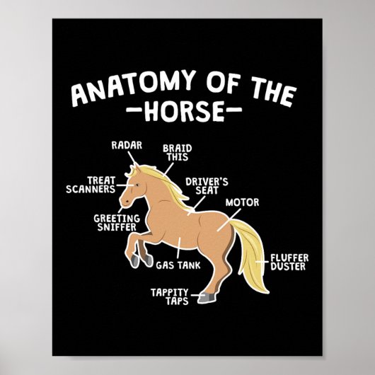 Pun-anatomie van paardenpaarden poster (Voorkant)