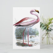 Puna Flamingo Illustratie Briefpapier (Staand voorkant)