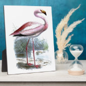 Puna Flamingo  Illustratie Fotoplaat (Zijkant)