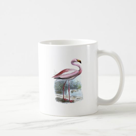 Puna Flamingo Illustratie Koffiemok (Rechts)