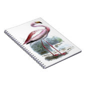Puna Flamingo  Illustratie Notitieboek (Rechterzijde)