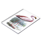 Puna Flamingo  Illustratie Notitieboek (Linkerzijde)