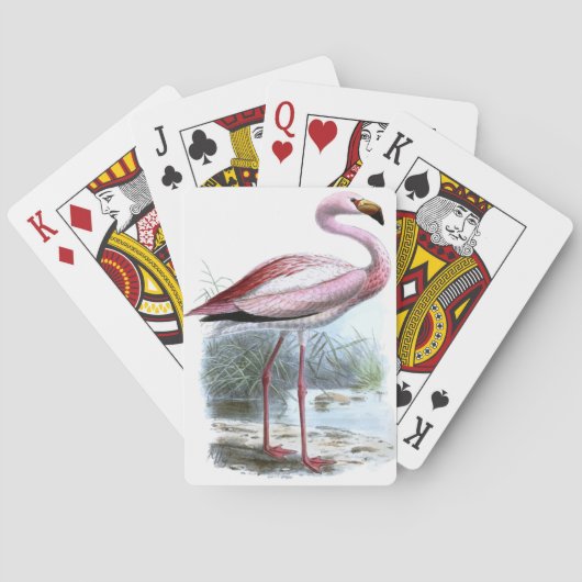 Puna Flamingo  Illustratie Pokerkaarten (Achterkant)