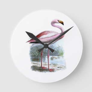 Puna Flamingo Illustratie Ronde Klok
