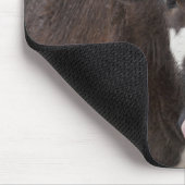 punakha district bhutan muismat (Hoek)