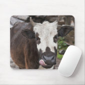 punakha district bhutan muismat (Met muis)