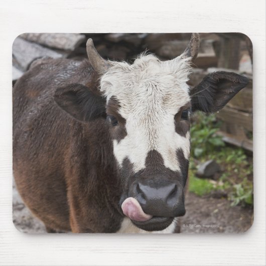 punakha district bhutan muismat (Voorkant)