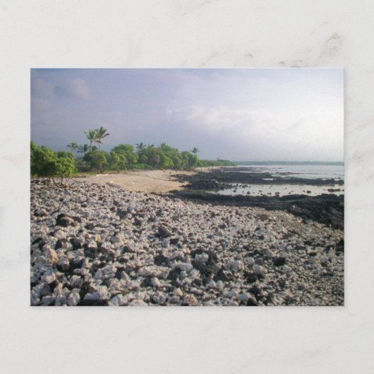 Punaluʻu Black Sand Beach Hawaii Big Island Briefkaart (Voorkant)