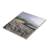 Punaluʻu Black Sand Beach Hawaii Big Island Tegeltje (Zijkant)