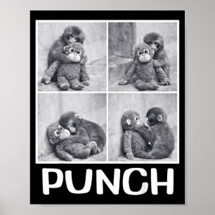 Punch baby aap meme poster