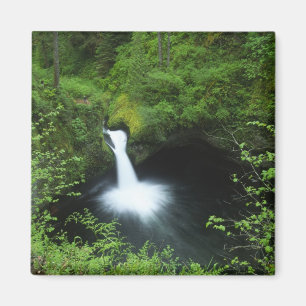 Punchbowl Falls aan Eagle Creek, Columbia River Magneet