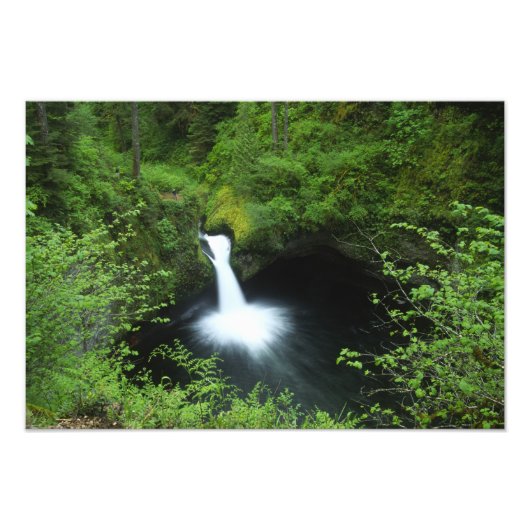 Punchbowl Falls op Eagle Creek, Columbia River Foto Afdruk (Voorkant)