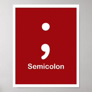 punctiemarkeringen — Semicolon Poster