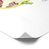 Punica granatum (Pomegranaat) Poster (Hoek)