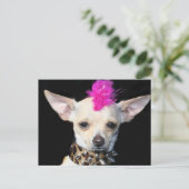 Punk Briefkaart Chihuahua (Staand voorkant)