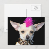 Punk Briefkaart Chihuahua (Voorkant / Achterkant)