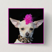 Punk Button Chihuahua (Voorkant)