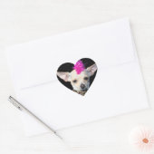 Punk Chihuahua Stickers (Envelop)