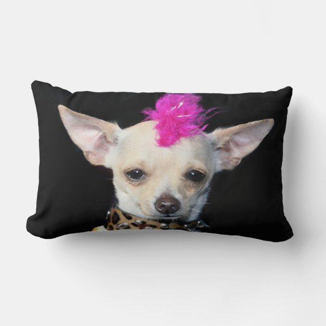 Punk hond van Chihuahua American Mojo lumbar pillo Kussen (Voorkant)
