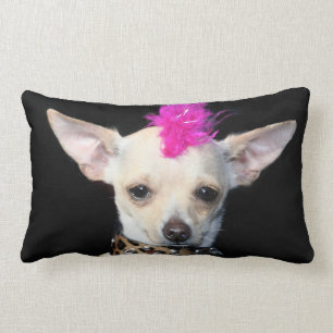 Punk hond van Chihuahua American Mojo lumbar pillo Kussen