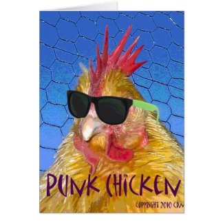 Punk kip