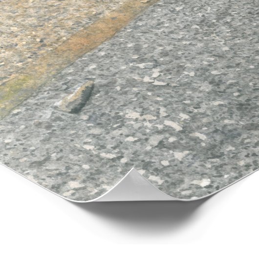 Punk papaver (Arthur) Poster (Hoek)