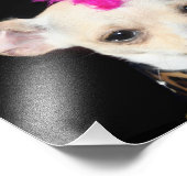 Punk Rock Chihuahua Foto Afdruk (Hoek)