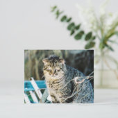 Punk Rock Feral Tom Cat Invitations Kaart (Staand voorkant)