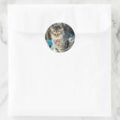 Punk Rock Feral Tom Cat Ronde Sticker (Tas)
