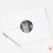 Punk Rock Feral Tom Cat Ronde Sticker (Envelop)