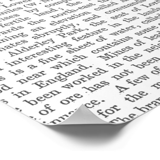 Punk Rock Goose Poster (Hoek)