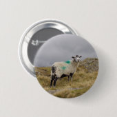 Punk schapen ronde button 5,7 cm (Voorkant /achterkant)